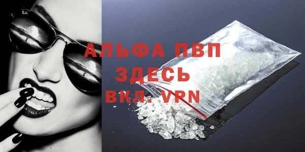 прущие грибы Волосово