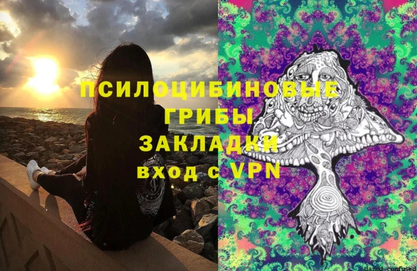 ГАЛЛЮЦИНОГЕННЫЕ ГРИБЫ Волоколамск