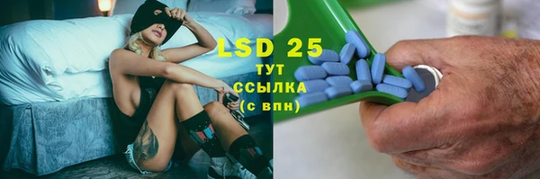 прущие грибы Волосово