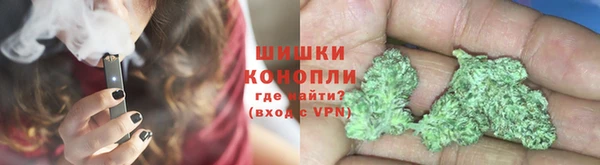 прущие грибы Волосово