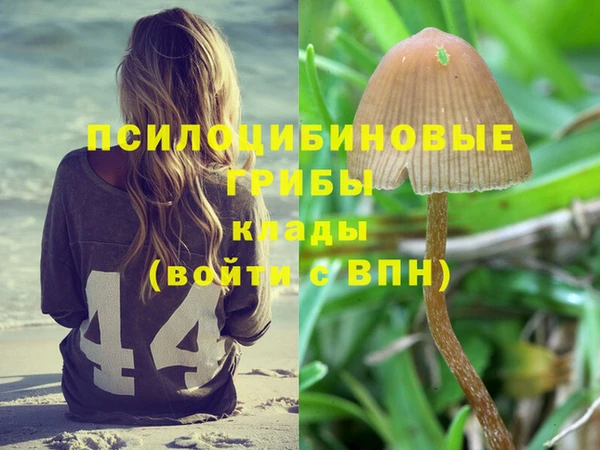 прущие грибы Волосово