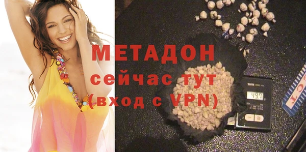 прущие грибы Волосово