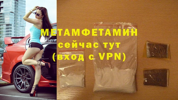 прущие грибы Волосово