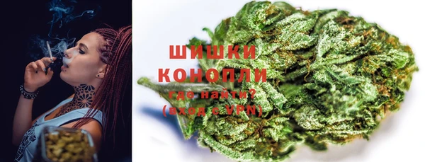 прущие грибы Волосово