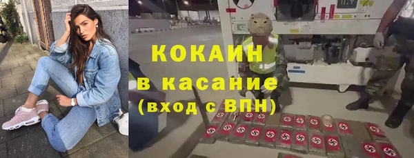 прущие грибы Волосово