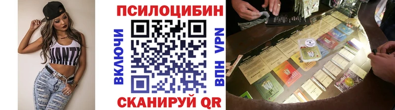 закладка  omg ССЫЛКА  Псилоцибиновые грибы MAGIC MUSHROOMS  Междуреченск 