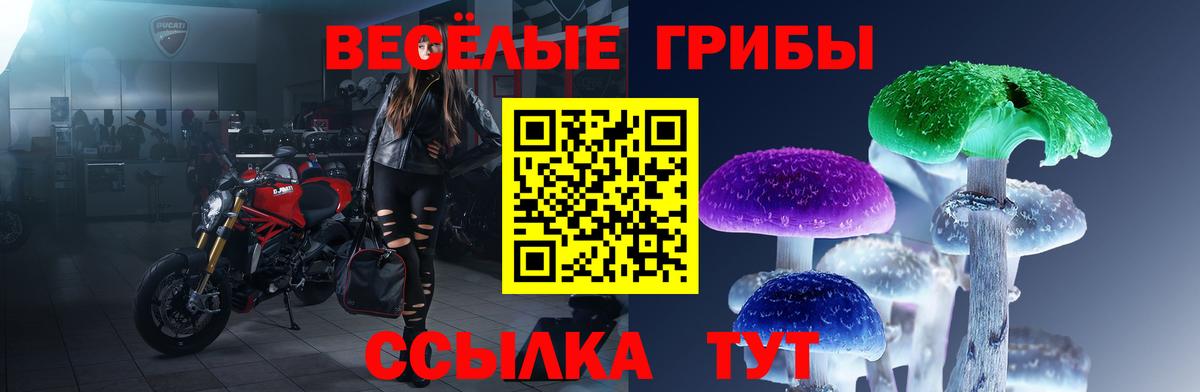 Галлюциногенные грибы MAGIC MUSHROOMS  купить наркотики цена  Междуреченск 